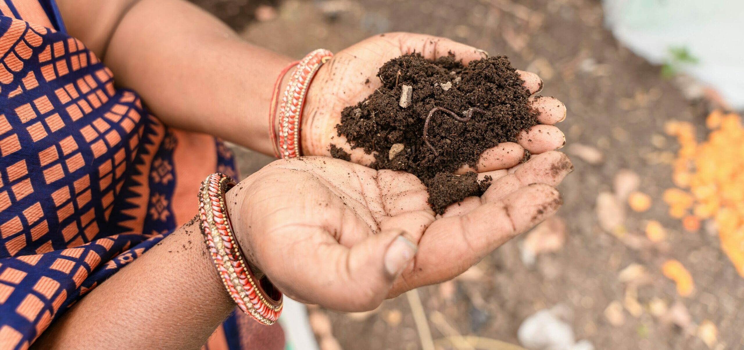 Featured image for “All About Soil Health”